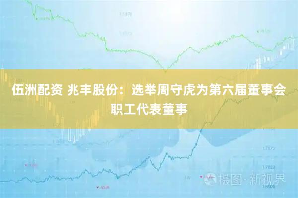 伍洲配资 兆丰股份：选举周守虎为第六届董事会职工代表董事