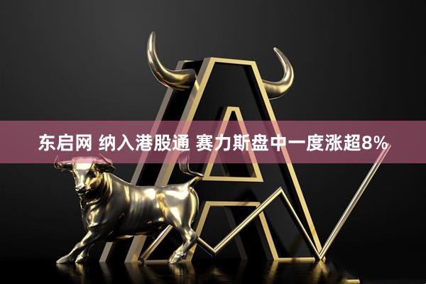 东启网 纳入港股通 赛力斯盘中一度涨超8%