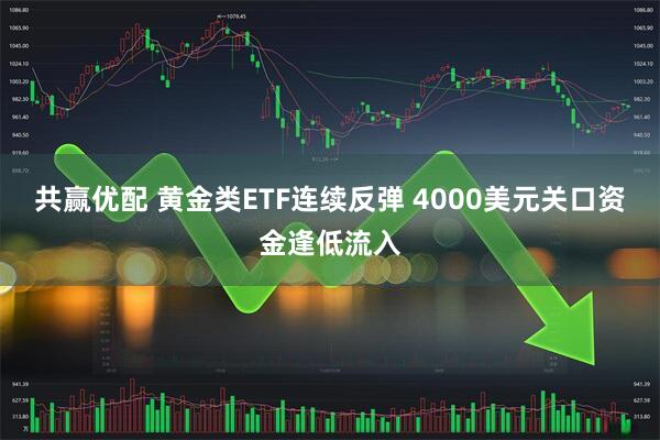 共赢优配 黄金类ETF连续反弹 4000美元关口资金逢低流入