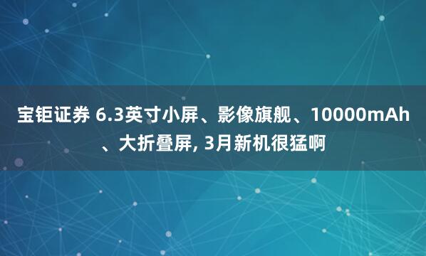 宝钜证券 6.3英寸小屏、影像旗舰、10000mAh、大折叠屏, 3月新机很猛啊