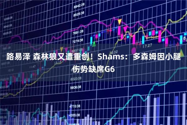 路易泽 森林狼又遭重创！Shams：多森姆因小腿伤势缺席G6